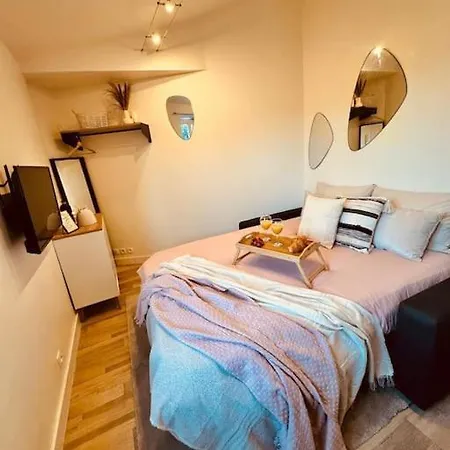 Appartement Le Cosy Du Roi, Wifi,gare,paris