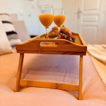 Le Cosy Du Roi, Wifi,gare,paris Appartement *