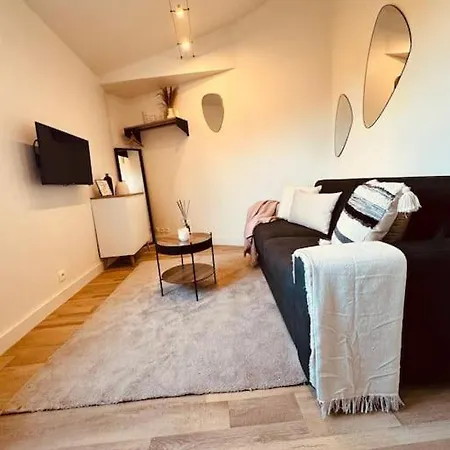 Le Cosy Du Roi, Wifi,gare,paris Appartement Versailles